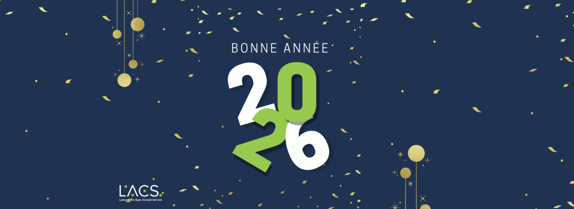Bonne année 2026